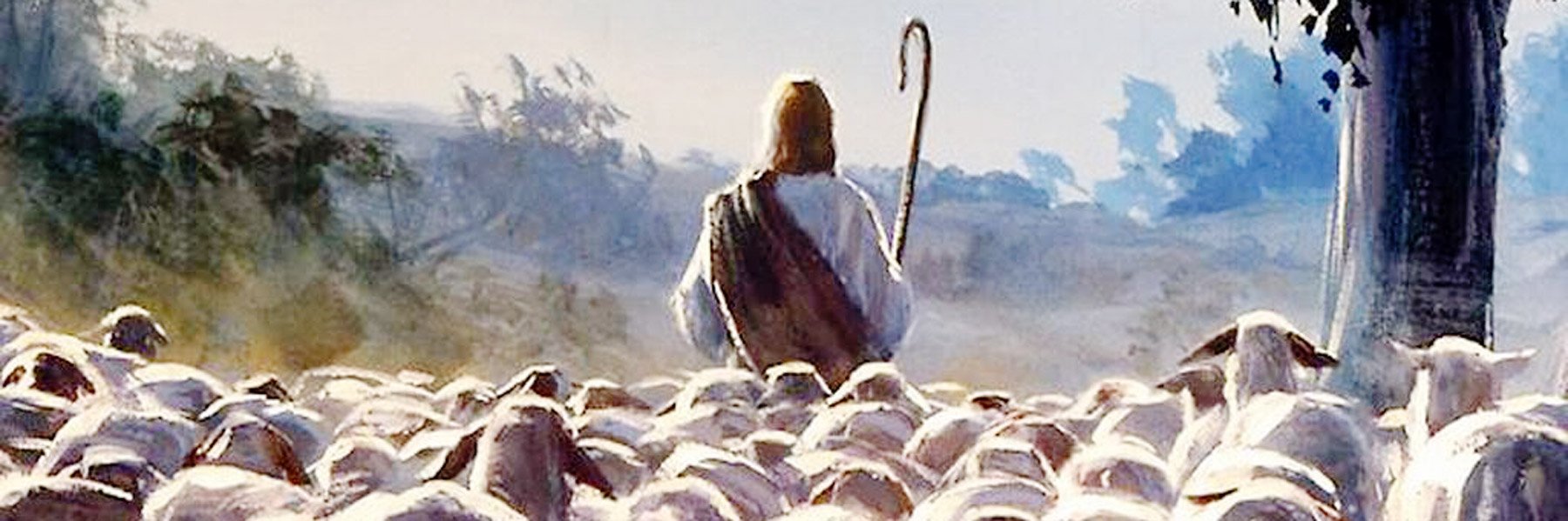 the shepherd trilogy