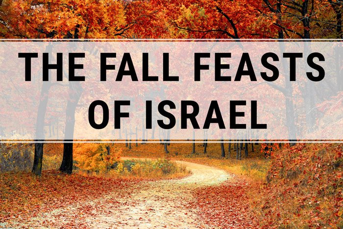 celebrate the holidays for all fall fall fall celebrate the holidays for all fall fall fall